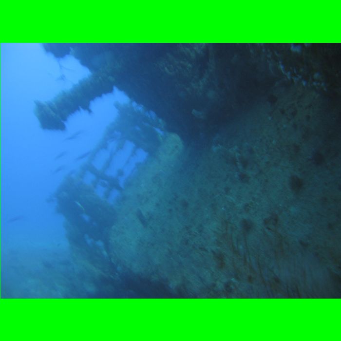 Dive WP Wrecks 25-Oct-09_215.JPG